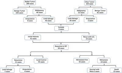 What Are the Results of Limb Salvage Surgery for Primary Malignant Bone Tumor in the Forearm?